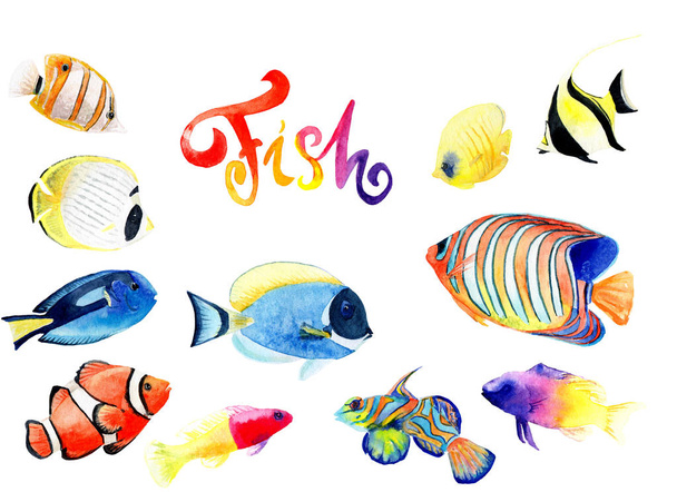 desenhos aquarela de conjunto de peixes brilhantes
 - Foto, Imagem