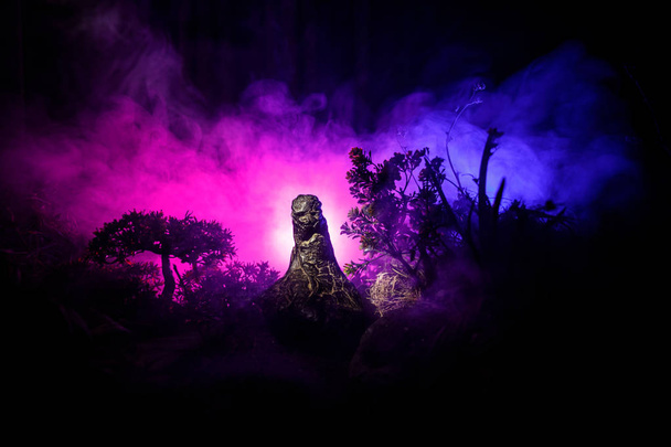 Horror-Silhouette einer gruseligen Gestalt im nächtlichen Wald. weiblicher Dämon. Dämonen kommen. Slhouette des Teufels oder Monster-Figur auf einem Hintergrund des Feuers. Horrorvision - Foto, Bild