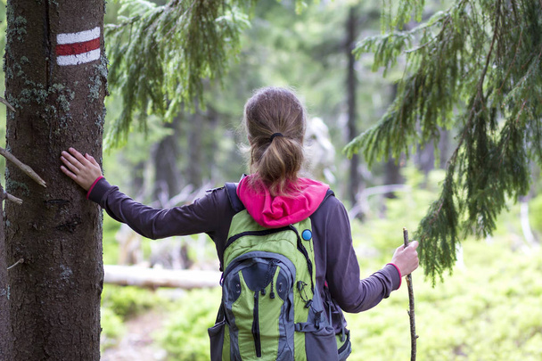 Achteraanzicht van slanke toeristische wandelaar meisje met stick en rugzak die hand op pine tree trunk met manier inloggen verlicht door de zon bergbos. Toerisme, reizen, wandelen en gezonde levensstijl concept. - Foto, afbeelding