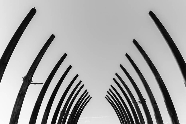 Playa muelle muelle muelle con estructura diseñada colmillos de elefante estructuras cielo paisaje
. - Foto, Imagen