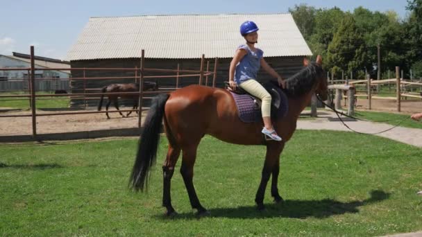 Een meisje zit op een paard in een helm - Video