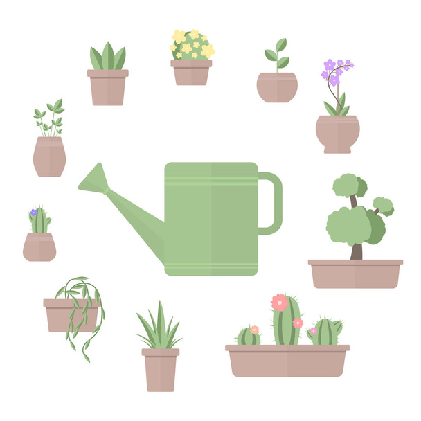 Ilustração vetorial do conjunto de plantas em vasos com regador sobre fundo branco
 - Vetor, Imagem
