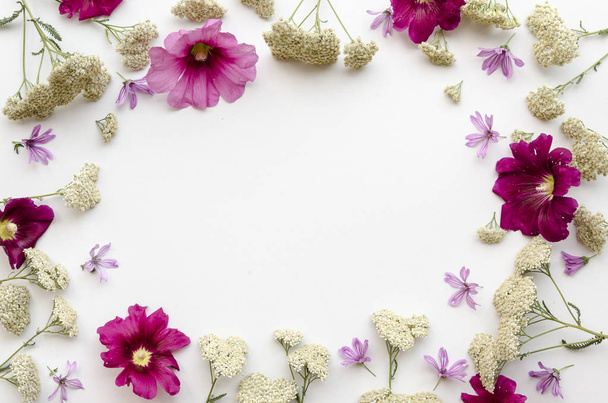 Kukka runko luonnonvaraisten kukkien valkoisella taustalla. Litteä, ylhäältä päin. kukka mockup kirjoitus malli
 - Valokuva, kuva