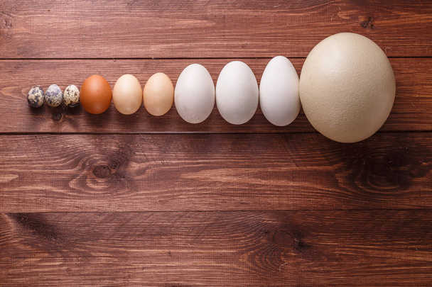 Яйце різних птахів на фермі
 - Фото, зображення