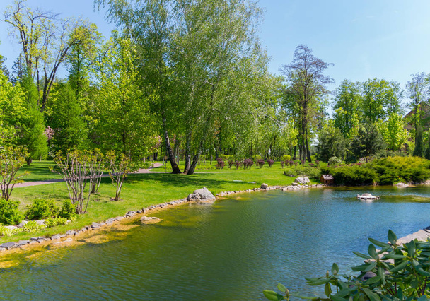 A beautiful summer day in a park with a light wind raising a small ripple on the surface of the pond and swaying branches of birches growing on the shore. - Photo, image