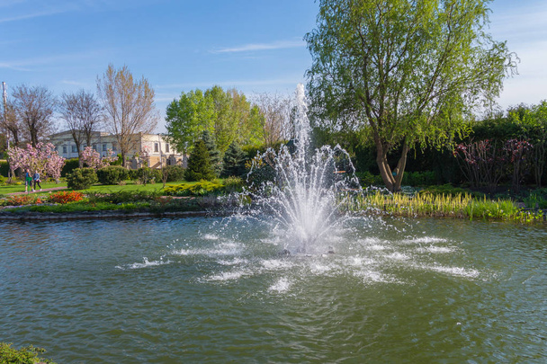 パスと花木を歩いて人々 の背景に、池の真ん中に澄んだ水を押すと噴水. - 写真・画像