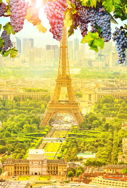 ブドウはパリでぶら下がっています。 - 写真・画像
