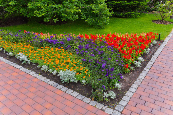 угловая клумба с яркими оранжевыми, синими и красными цветами на пересечении дорожек в саду на фоне плотных зеленых кустов
 - Фото, изображение