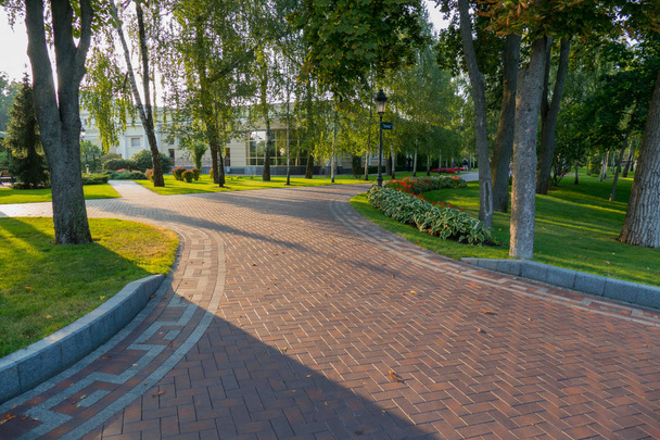 Een breed park wandelpad met decoratieve groene bomen in de buurt van het moderne gebouw - Foto, afbeelding