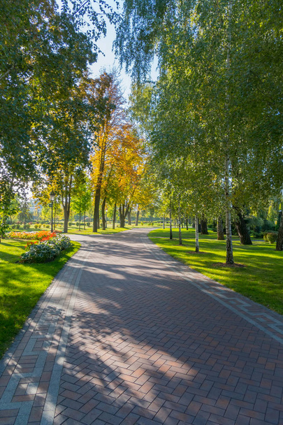 Χρυσή φθινόπωρο σε ένα πάρκο με δέντρα ρίχνοντας τα φύλλα στο ακόμα πράσινο γρασίδι - Φωτογραφία, εικόνα