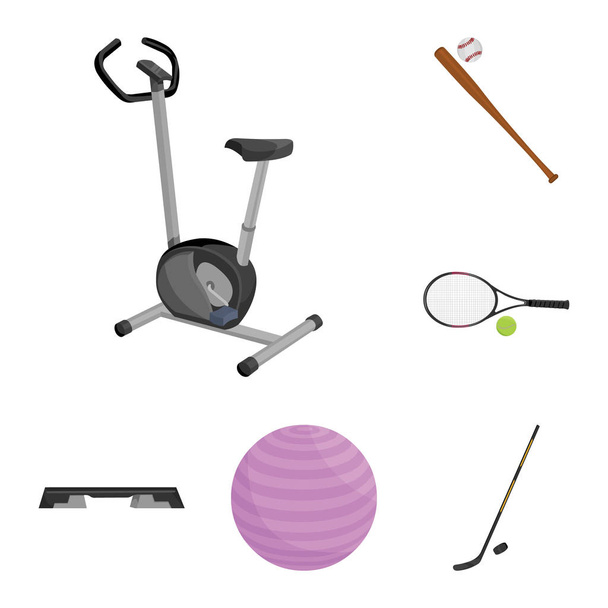 Different kinds of sports cartoon icons in set collection for design. Sport equipment vector symbol stock web illustration. - Vektör, Görsel