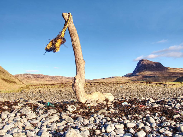 Corda marinha desgastada secando em um velho tronco quebrado na baía na costa oeste durante um pôr do sol ventoso
 - Foto, Imagem