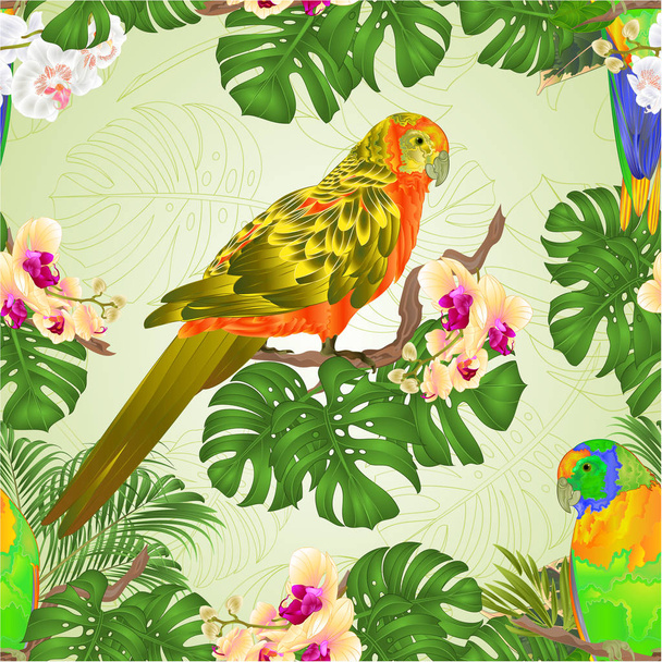 Tekstura słońce Conure papugi tropikalnych ptaków egzotycznych ręką piękny żółty i biały storczyk i philodendron vintage wektor ilustracja edytowalne rysowania - Wektor, obraz