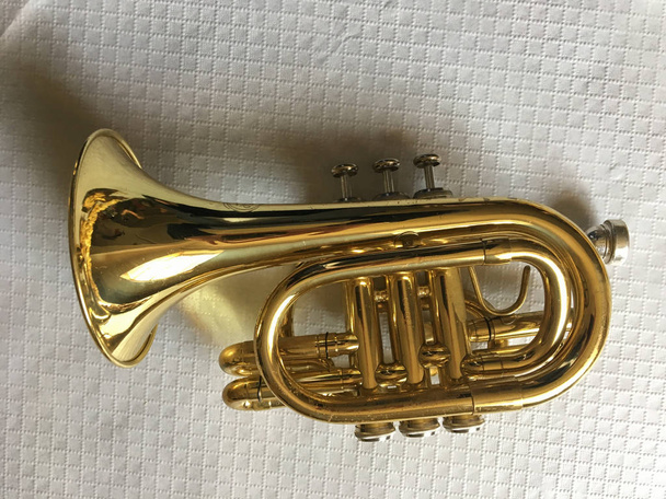 Beyaz arka plan üzerinde izole klasik mini trompet - Fotoğraf, Görsel