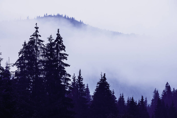Misty mountain landscape - Valokuva, kuva