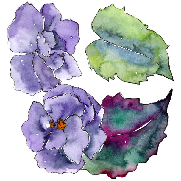 Purple gardania flower. Floral botanical flower. Isolated illustration element. - Foto, Imagen