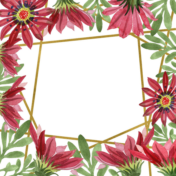 Rode gazania bloem. Floral botanische bloem. Frame grens ornament vierkant. - Foto, afbeelding