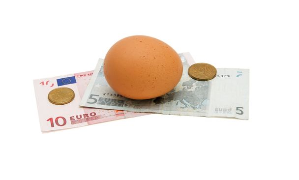 Brown egg on small euro money - Φωτογραφία, εικόνα