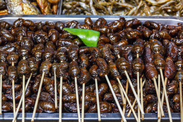İçinde belgili tanımlık tepsi üstünde belgili tanımlık sayaç Çin pazarının kızarmış böcekler. - Fotoğraf, Görsel