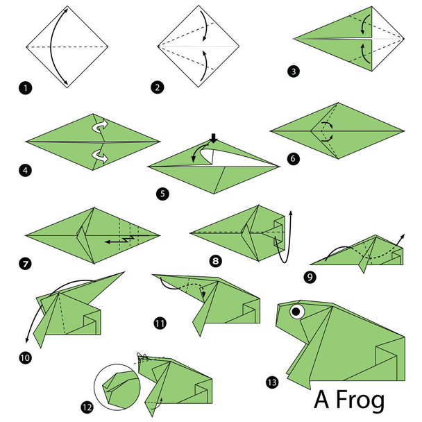 instrucciones paso a paso cómo hacer origami Una rana
 - Vector, Imagen