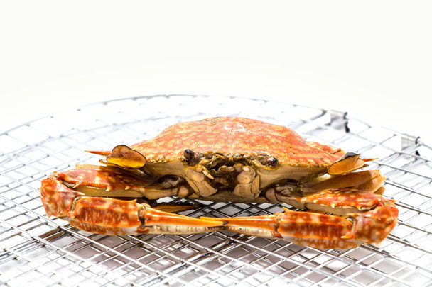 Boiled crab isolated on white background - Фото, изображение