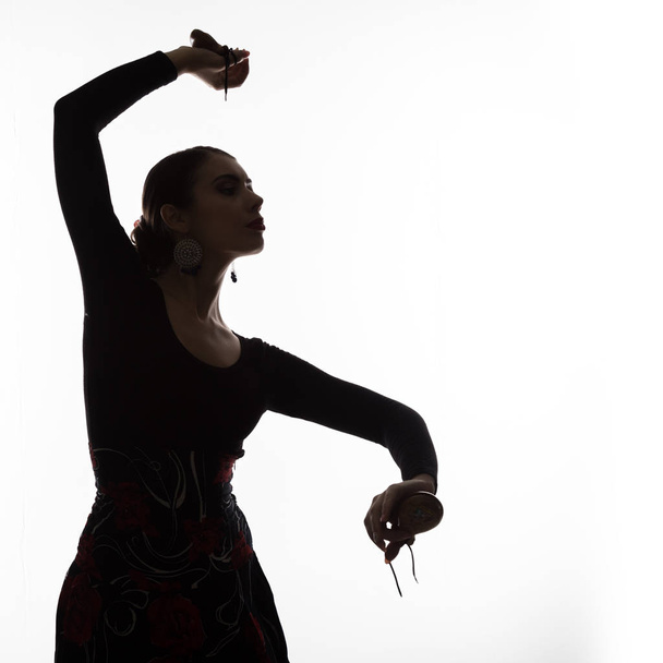 silhouette of spanish girl flamenco dancer on a light background. free space for your text - Photo, image