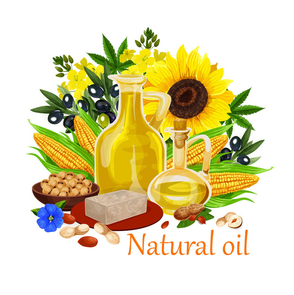 Natural oil of orgin plants and nuts vector poster - Vector, Image