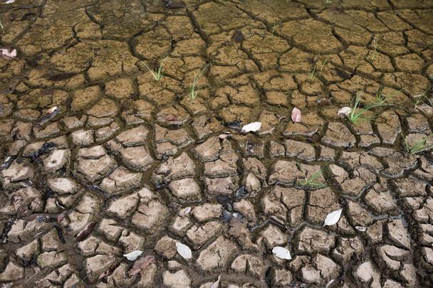 Ground waiting for water, Drought concept. - Photo, Image