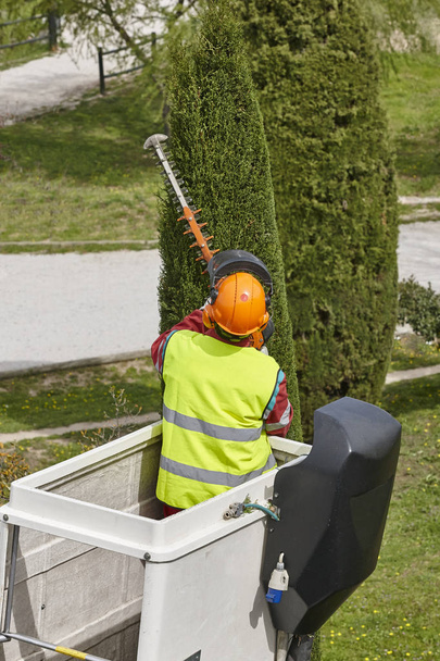 Varustettu työntekijä karsimassa puuta nosturilla. Puutarhatyöt
 - Valokuva, kuva
