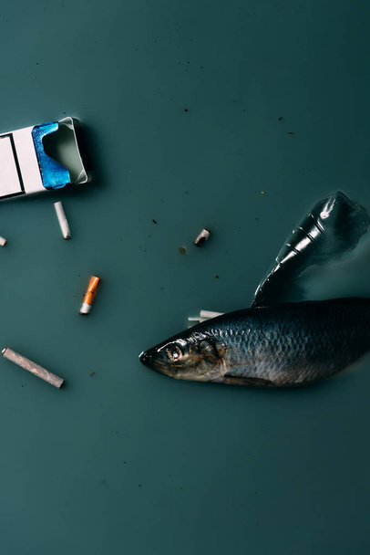 Draufsicht auf Fische, Plastikflasche und im Wasser fließende Zigaretten, Umweltschutzkonzept - Foto, Bild