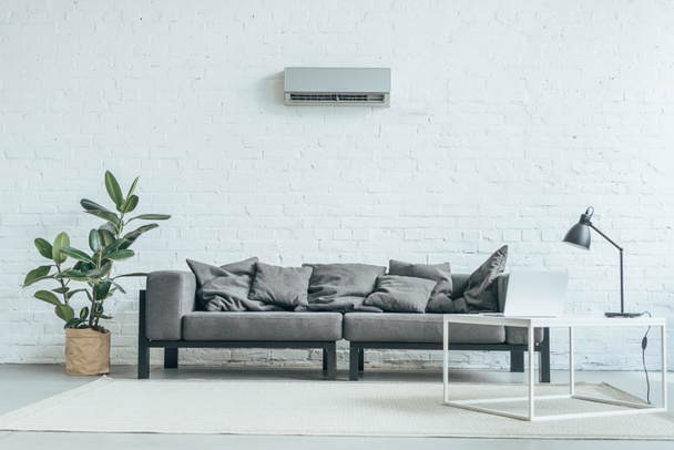 leeres Zimmer mit grauem Sofa, Ficus, Laptop auf Tisch und Klimaanlage an weißer Wand - Foto, Bild