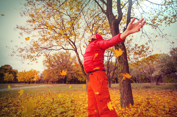 Escena de otoño en tonos amarillos - Foto, Imagen