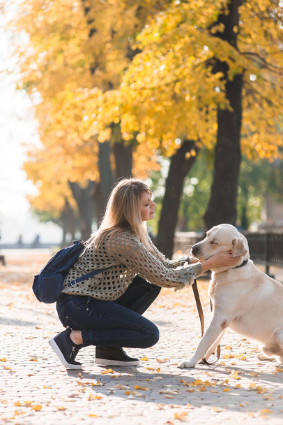 Młoda Blondynka przykucnął obok psa Labrador na spacer w parku jesienią. - Zdjęcie, obraz
