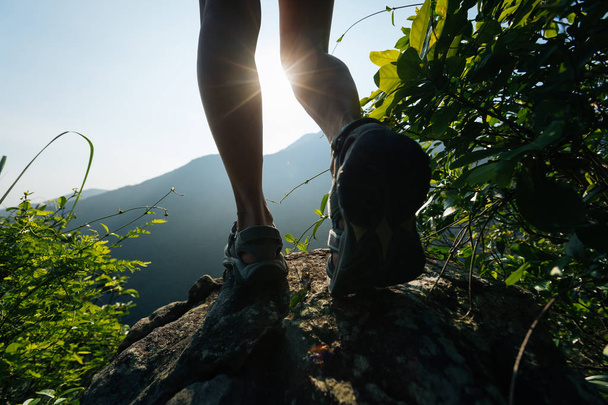 Hiker legs hiking on summer sunrise mountain top - Fotó, kép