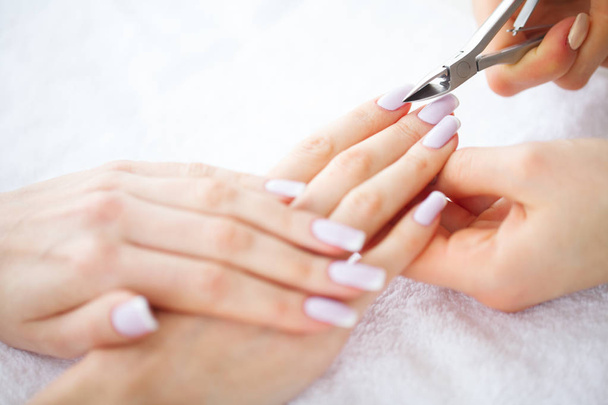 Spa manicure. Francuski manicure w salonie spa. Kobieta ręce w salon paznokci, manicure procedura odbierania. Procedura manicure. - Zdjęcie, obraz