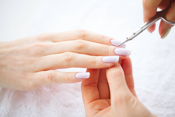 SPA manicure. French manicure at spa salon. Woman hands in a nail salon receiving a manicure procedure. Manicure procedure. - Valokuva, kuva