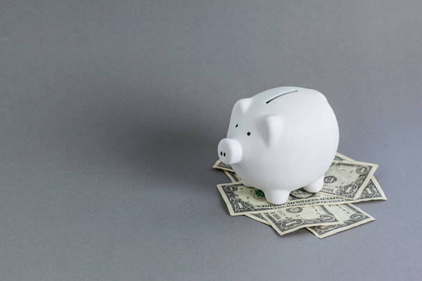 White piggy bank and US dollars on grey table  - 写真・画像