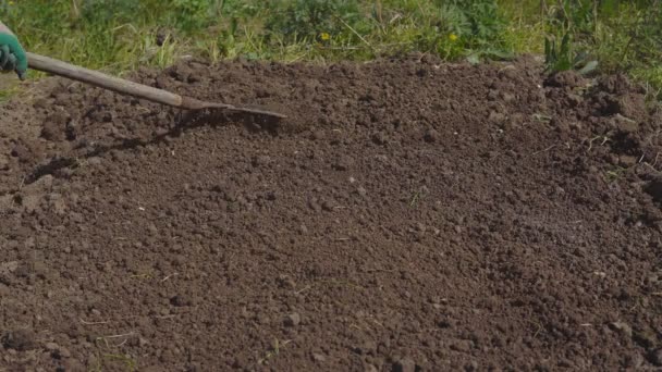 庭仕事の季節。播種用の土の準備 - 映像、動画