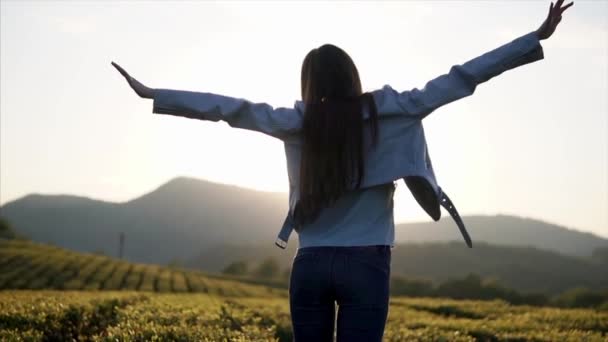 Štíhlá dívka se protahuje ruce, stojící v popředí čajové plantáže v ranní - Záběry, video