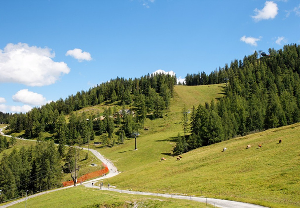 Alpine landscape - Photo, Image