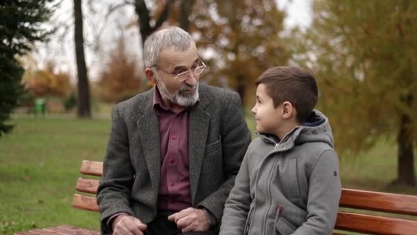 Opa und Enkel verbringen Zeit miteinander im Park. sie sitzen auf der Bank - Filmmaterial, Video