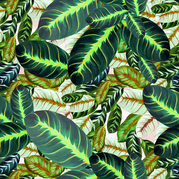 Exotic leaves - Morant. Watercolor background image - decorative composition. Use printed materials, signs, items, websites, maps, posters, postcards, packaging.Seamless pattern. - Φωτογραφία, εικόνα