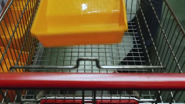 buyer puts construction materials and paint tools into shopping cart - Filmati, video