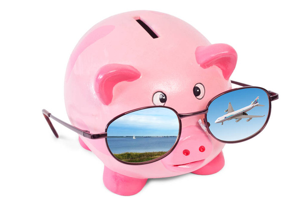 Κουμπαράς με γυαλιά ηλίου κατοπτρισμό ένα αεροπλάνο και τη θάλασσα - Φωτογραφία, εικόνα