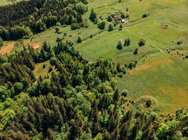 Letecký pohled na les a pole v provincii arezzo, Itálie - Fotografie, Obrázek