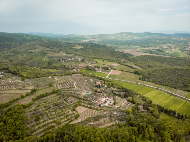 Αεροφωτογραφία του χωράφια και λόφους με δέντρα στην επαρχία του arezzo, Ιταλία - Φωτογραφία, εικόνα