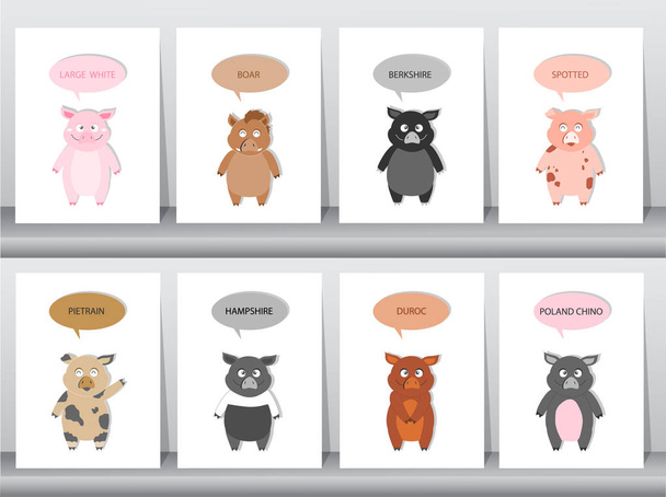 Set of Pigs, hogs breed, Vector illustration - Vector, Image