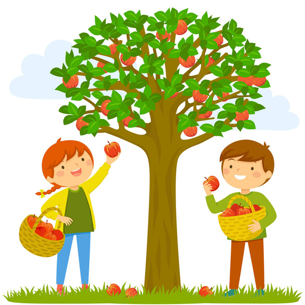 Δύο παιδιά μαζεύοντας μήλα από το δέντρο. - Διάνυσμα, εικόνα