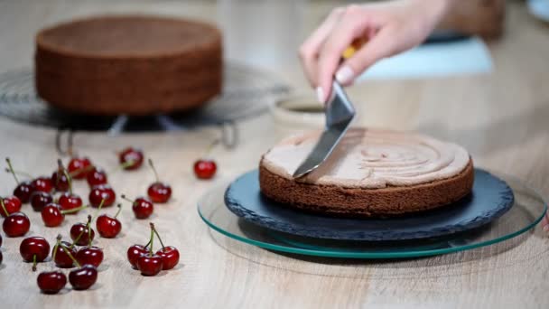 Onherkenbaar vrouwelijke gebak koken persen chocolade crème op smakelijk laag taart in keuken. - Video