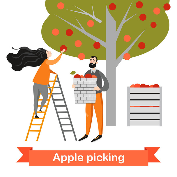 Dwie postacie z kreskówek śmieszne są zbieranie jabłek w ogrodzie. Czas zbiorów. Wektor ilustracja na białym tle - Wektor, obraz